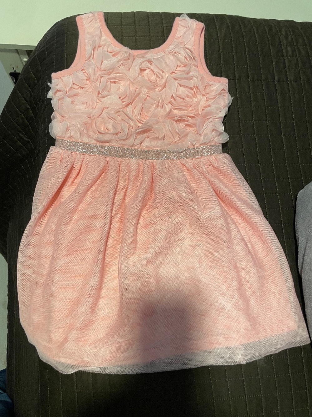 Girls Pink Rosette Bodice Glitter Belt Dress Sz 5T